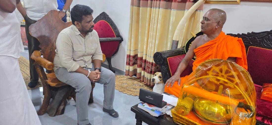 615450108 1451553663640576 5845008013576100362 n