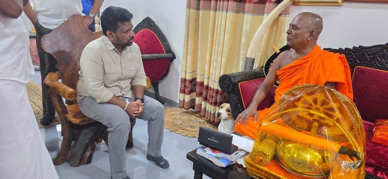 615450108 1451553663640576 5845008013576100362 n