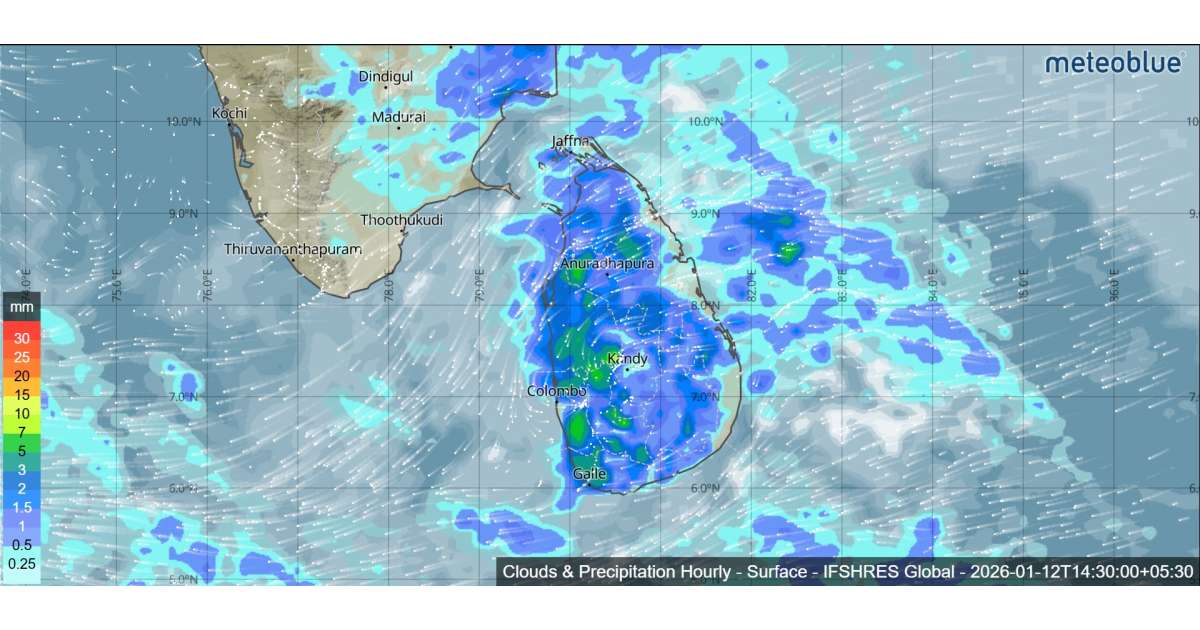 Clouds Precipitation Hourly Surface IFSHRES Global 20260112T1430000530 1