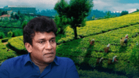 MP Mano demands Rs. 2000 minimum wage for plantation workers in budget