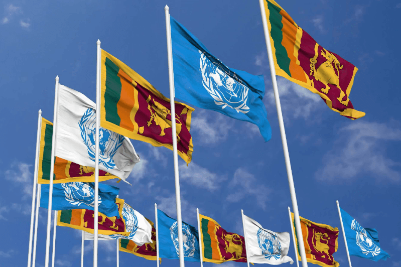 பாலியல் வன்முறை திட்டமிட்ட ஒரு தாக்குதல்: ஐநா அறிக்கையை முன்வைத்து இலங்கை அரசுக்கு HRW கடும் அழுத்தம்! 1 UNSL800