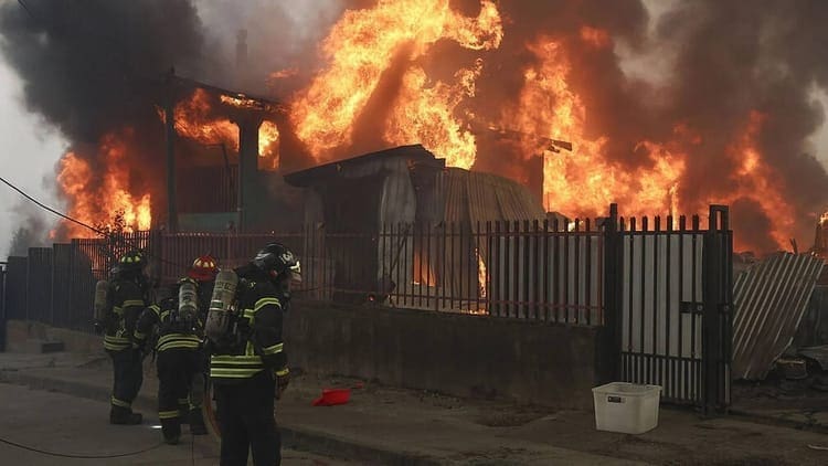 WhatsApp Image 2026 01 19 at 14.13.35