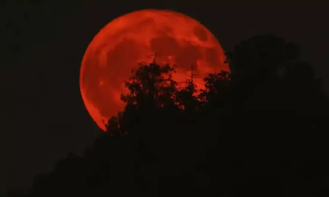 articles2FKpfcWs9EHIwAeffgx1YF