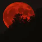 articles2FKpfcWs9EHIwAeffgx1YF