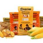 articles2FSjIn8EoqvQGDicvUvLR1