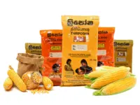 articles2FSjIn8EoqvQGDicvUvLR1