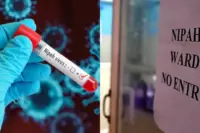 nipah virus warning dont do this alone health department advice 850x565