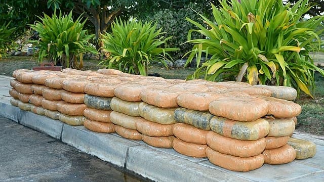 puthiyathalaimurai 2025 04 30 ye8tsh0t WhatsApp Image 2025 04 30 at 5 32 24 PM 1