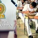 MediaFile 2025 03 07T111221.784