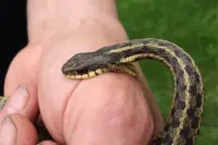 f255d14dbc86150d596e80f2fed4b9cb