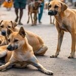 hindutamil import hindu uploads news 2025 03 31 xlarge 1356373