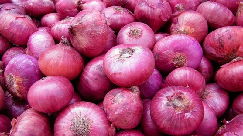 வெங்காயம், உருளைக்கிழங்கு விலை குறைந்தது! 1 Big Onion