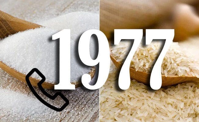 rice and sugarpop 1