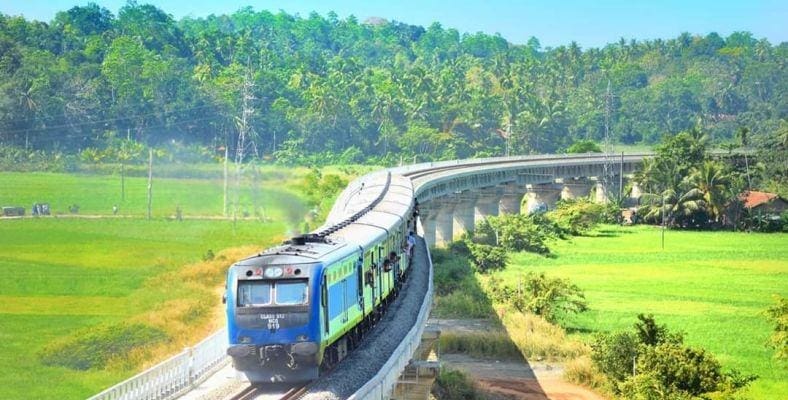 train nnn