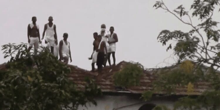 velikadai 750x375 1