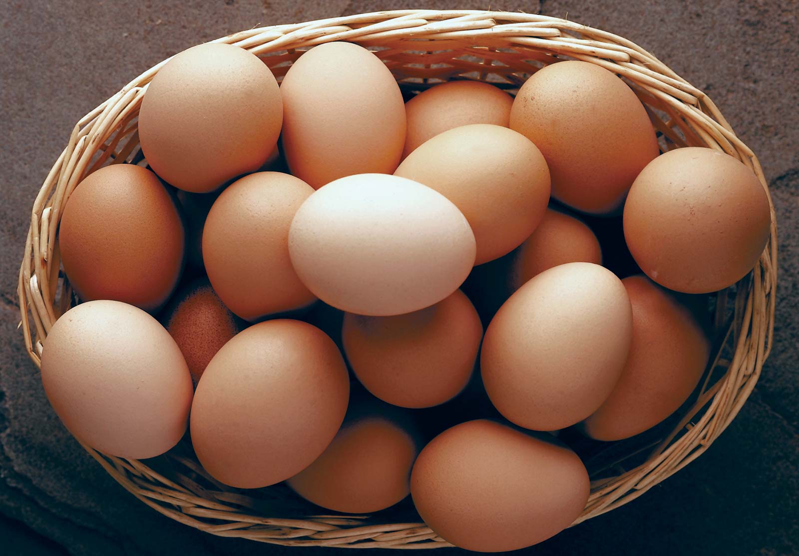EGG 1