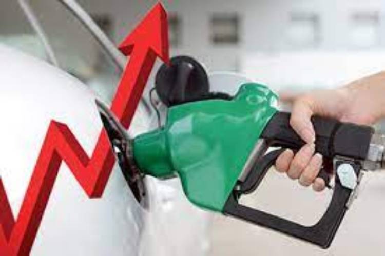 fuel price