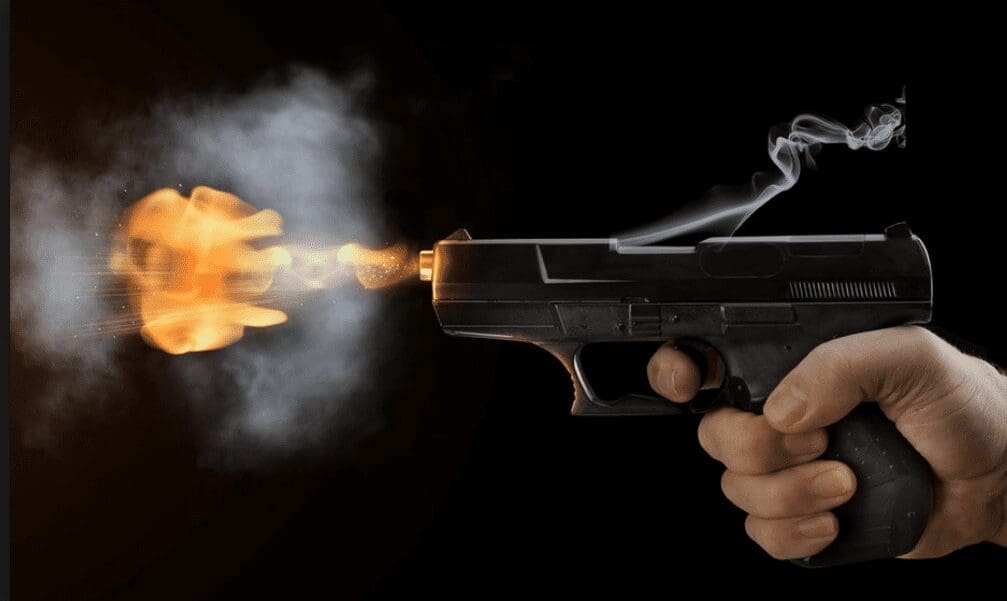gun