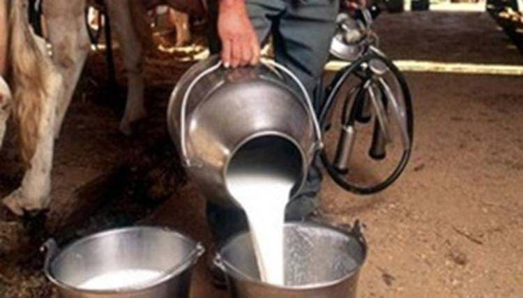 milk 1
