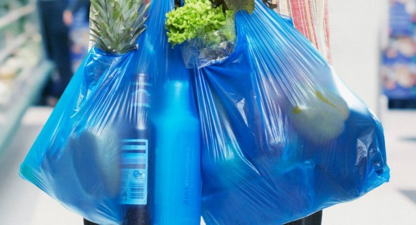 Polythene1