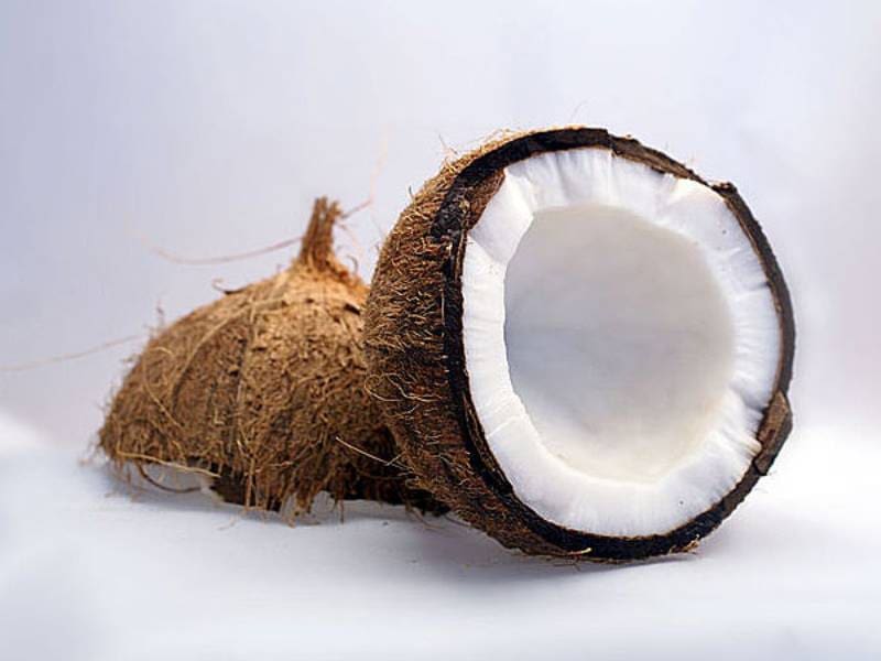 coconut