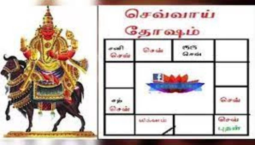sevvai thosam