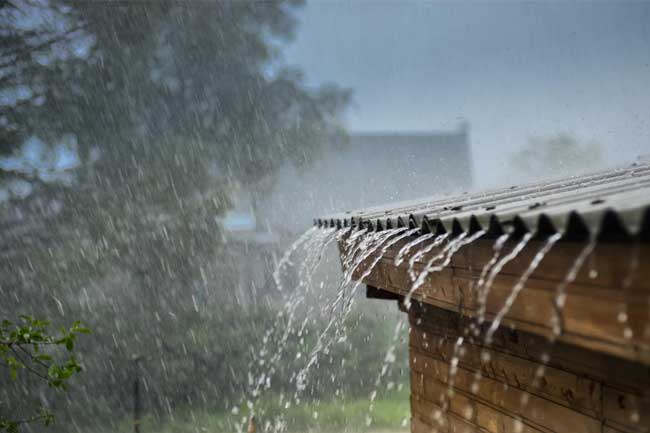 1635812679 weather rain new 2