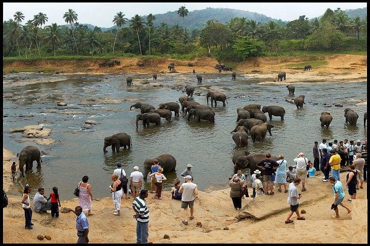 5 Tourists