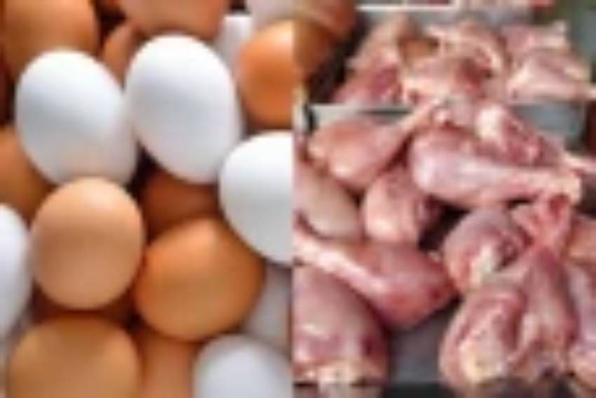 EGG 2