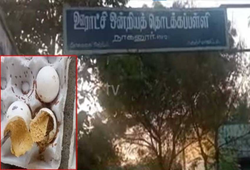 Egg 1