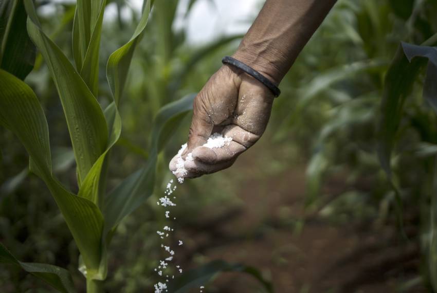 Fertilizers