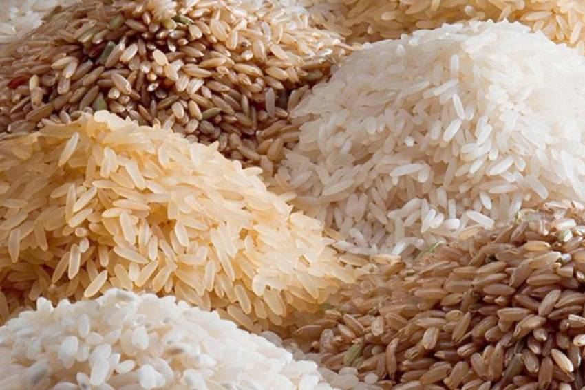 Rice