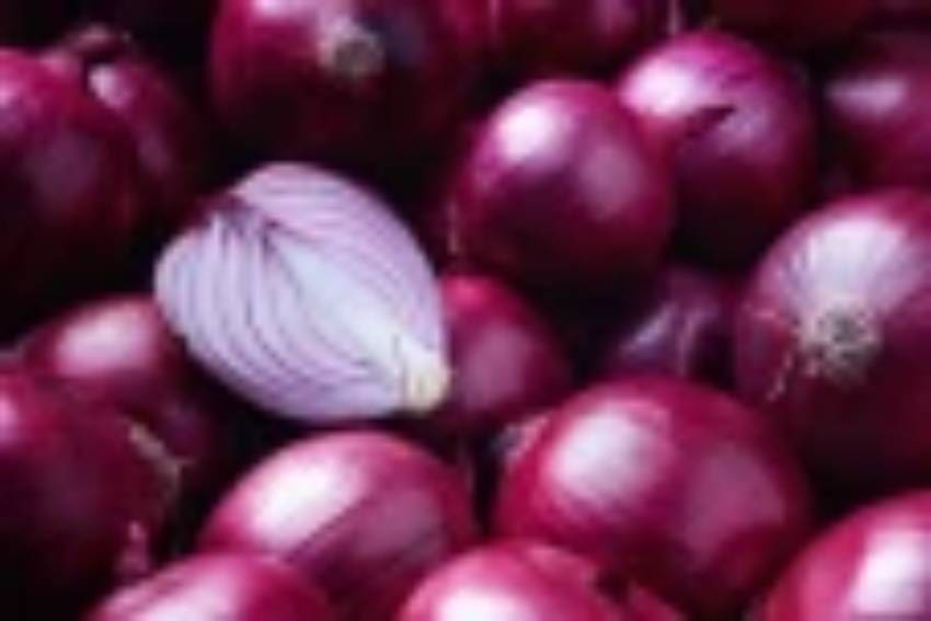 onion
