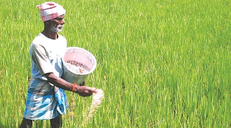 z p01 Fertiliser