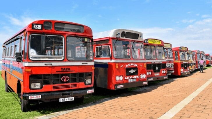 273 repaired SLTB buses added to fleet under Presidents patronage