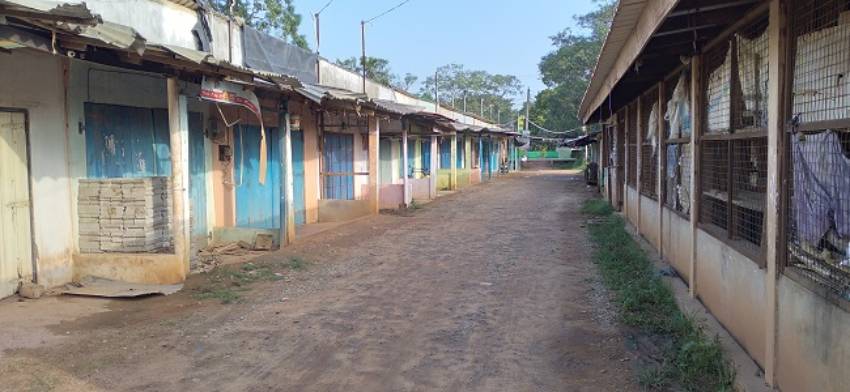 Kili news