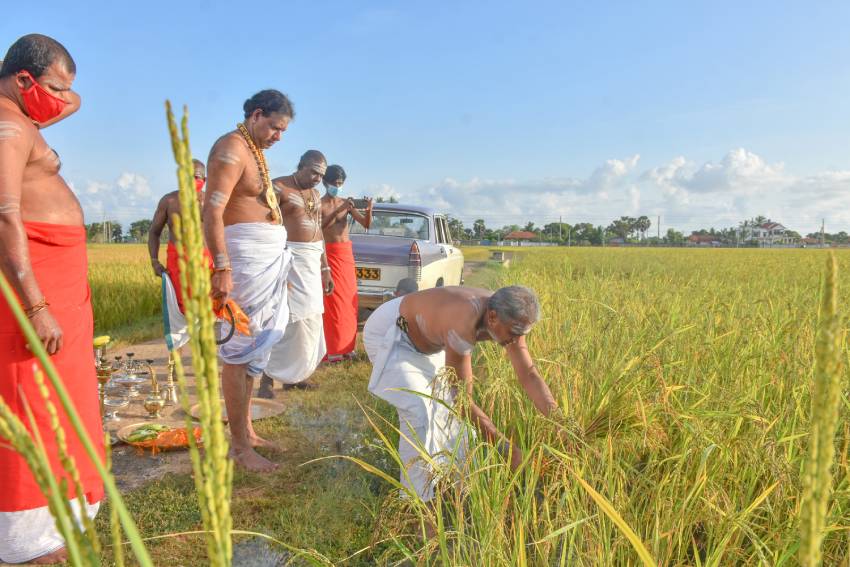 Nallur 1