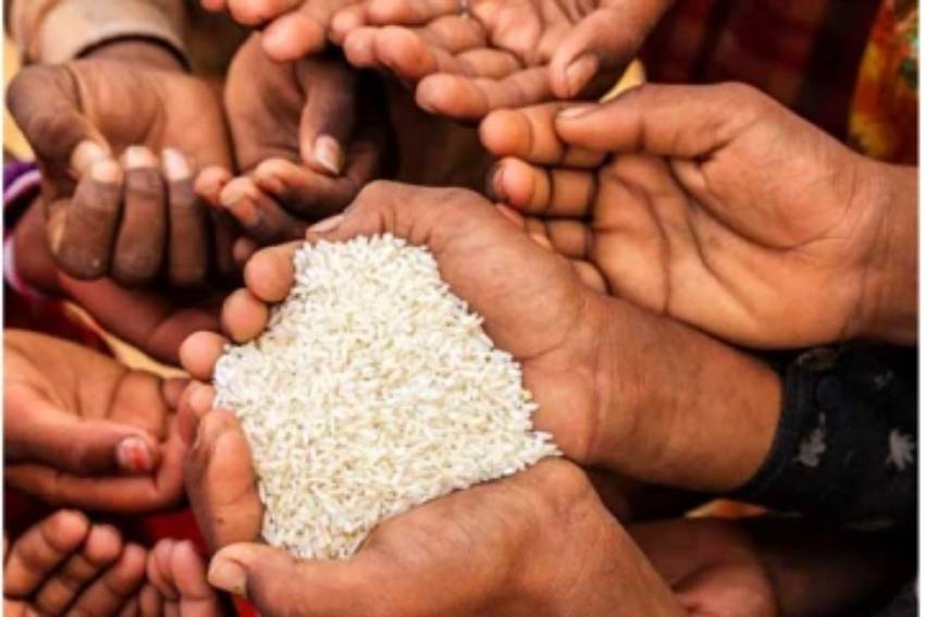 Rice