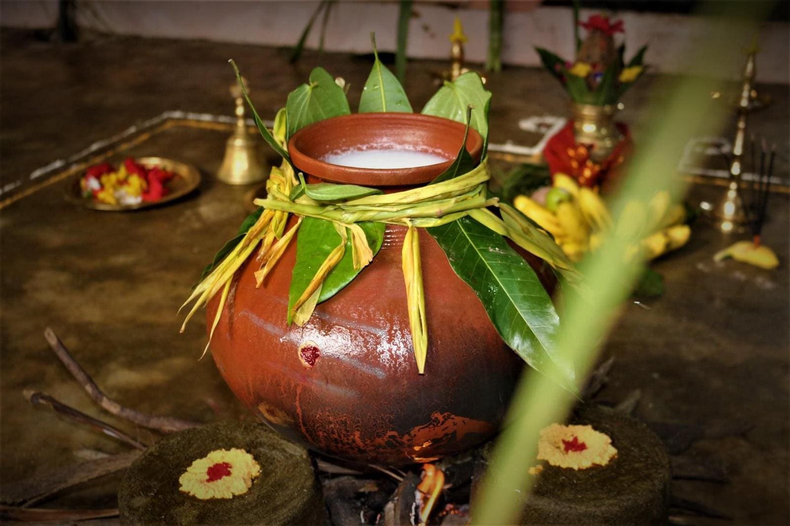 pongal timing
