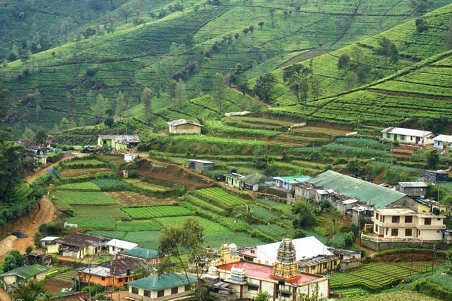 sri lanka ceylon tea plantation workers village