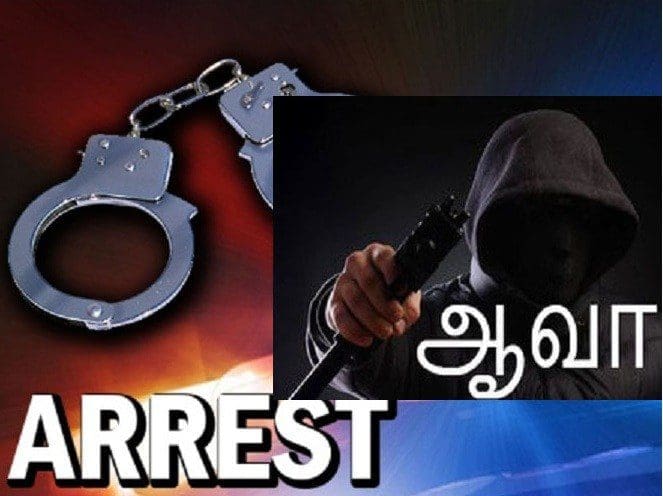 aava arrest 1