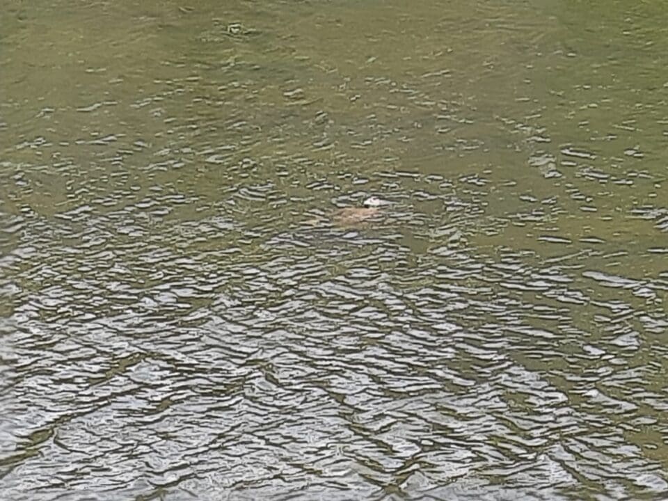 IMG 20220622 WA0058