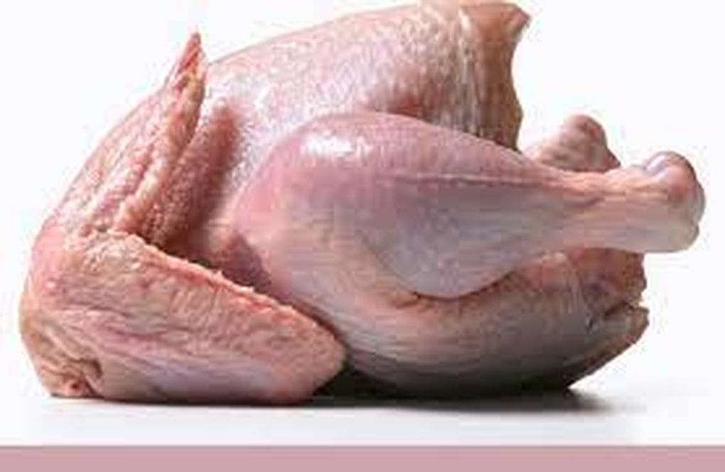 chicken