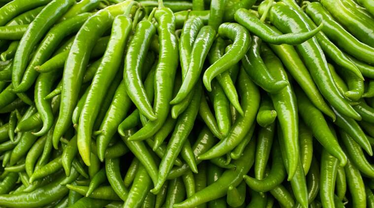 green chilli 759