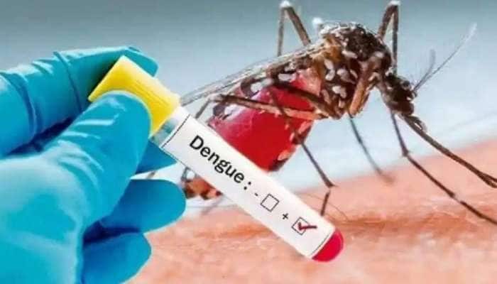 201371 dengue