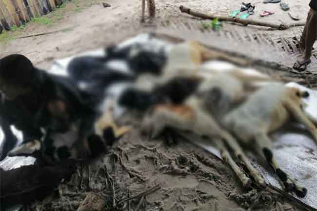 1670598811 jaffna 2