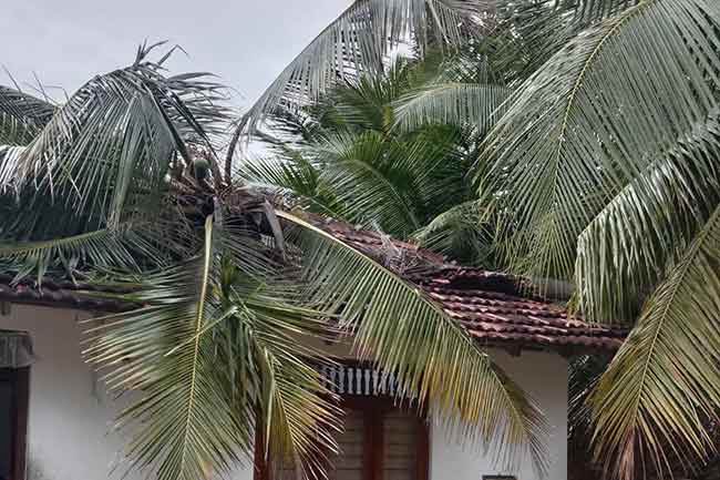 1670658695 mannar 2