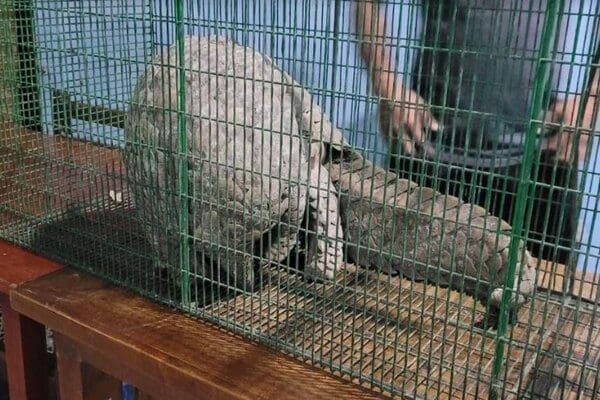 image 669437feea