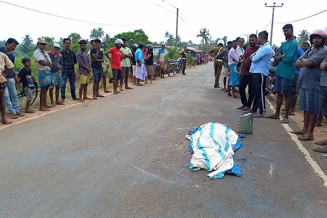 யாழ். விபத்தில் முதியவர் பலி! 1 accident 2