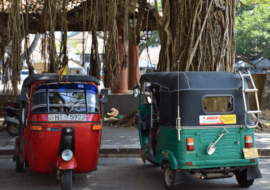 சட்டத்தை மதிக்காத சாரதிகள்: எடுக்கப்படவுள்ள கடும் நடவடிக்கை
